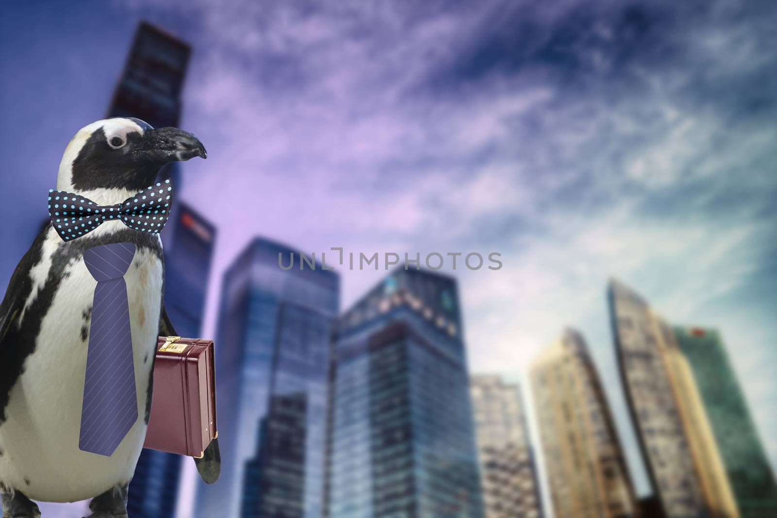 funny business penguin wearing a tie and suitcase isolated on a sky scrapers bank buildings background by charlottebleijenberg