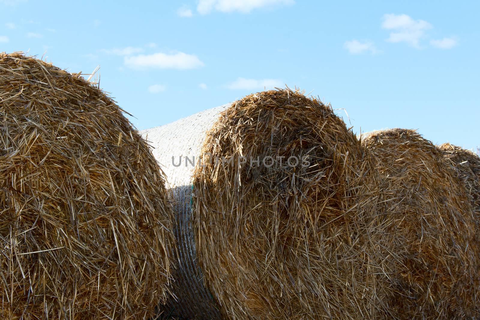 bales on hay after harvest. autumn. photo by Irinavk