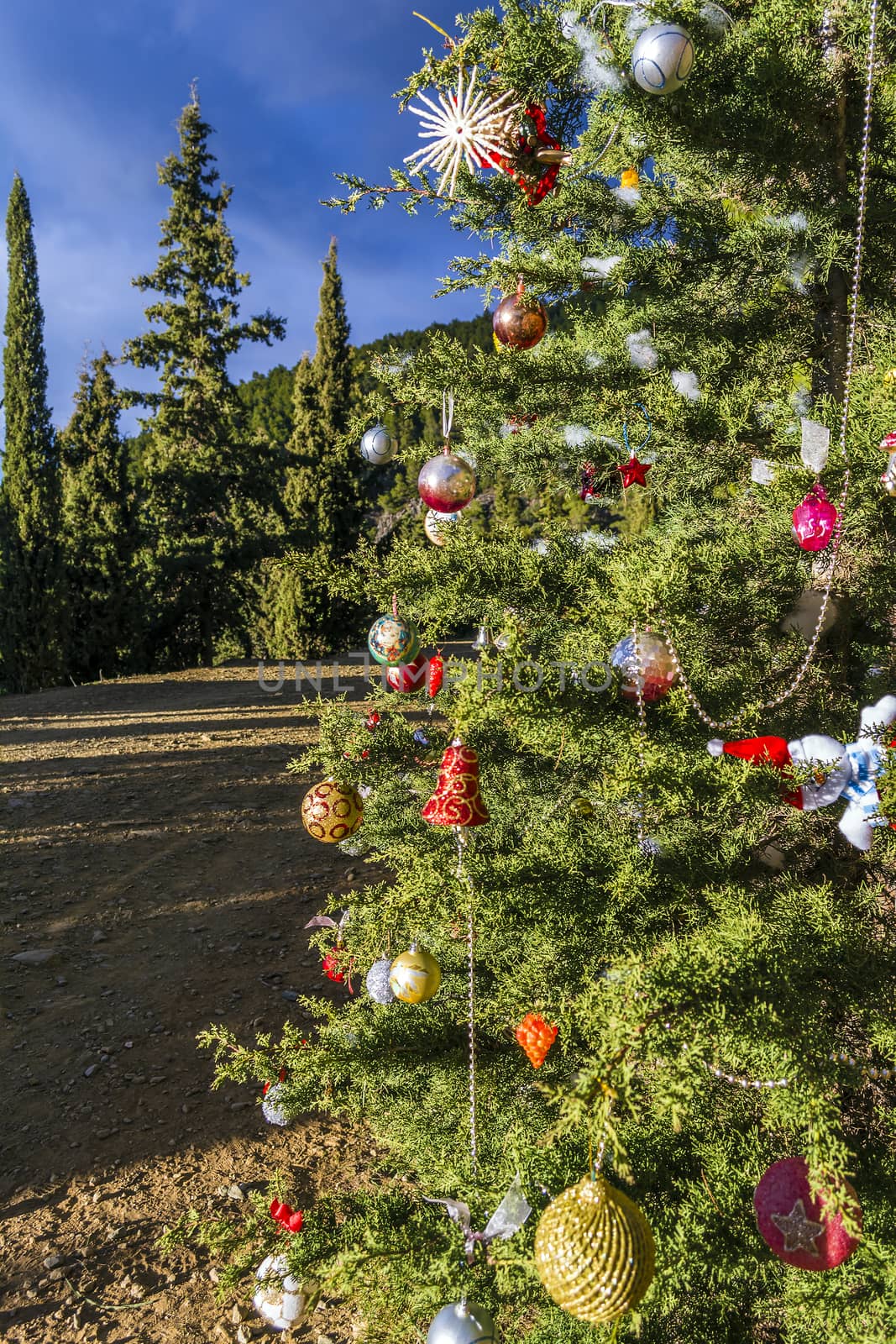 Decorated Christmas tree in the forest at nature background.