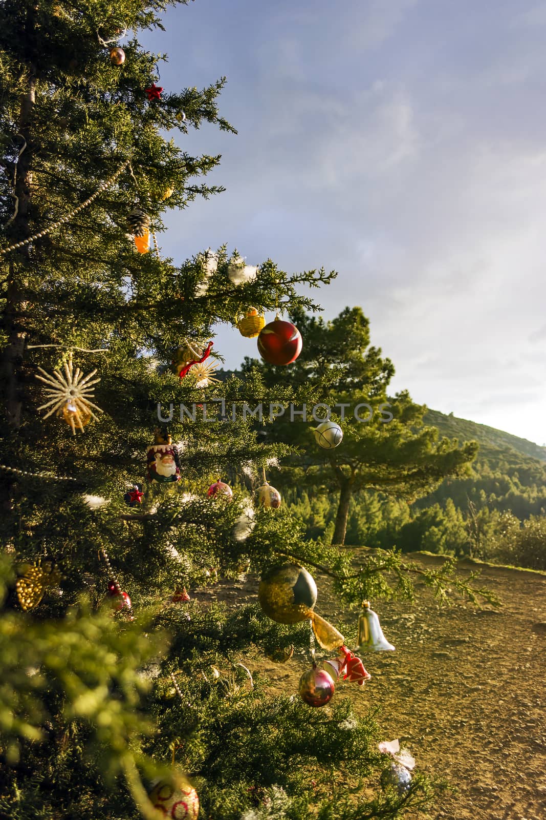 Decorated Christmas tree in the forest at nature background.