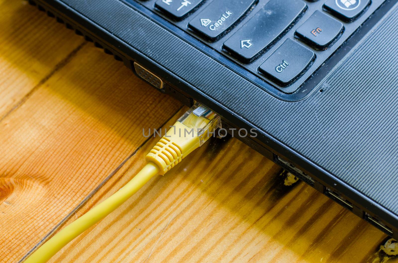network cable connect to  computer by photobyphotoboy