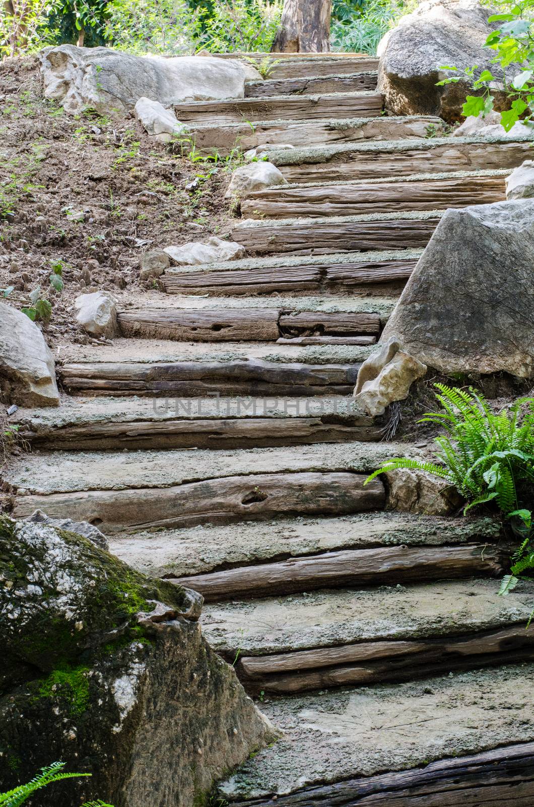 Old Wooden Stairs in the garden by photobyphotoboy