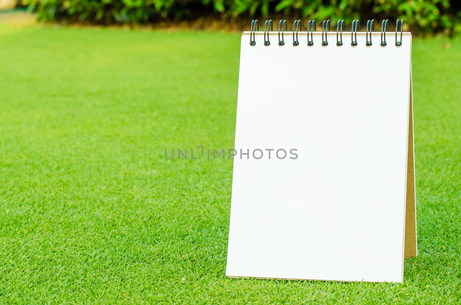 Notebook on fresh spring green grass