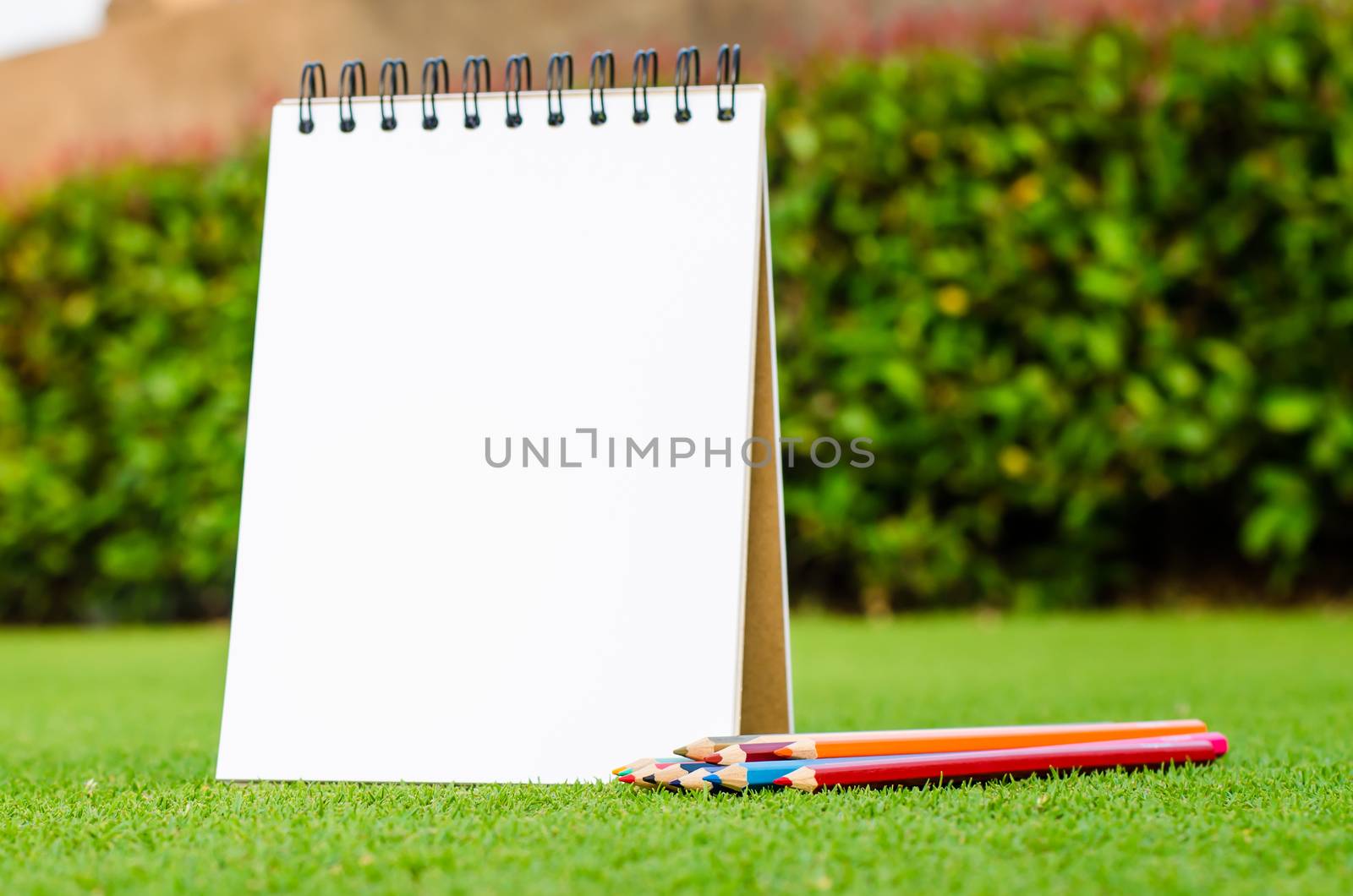 Color pencil and sketchbook on fresh spring green grass by photobyphotoboy