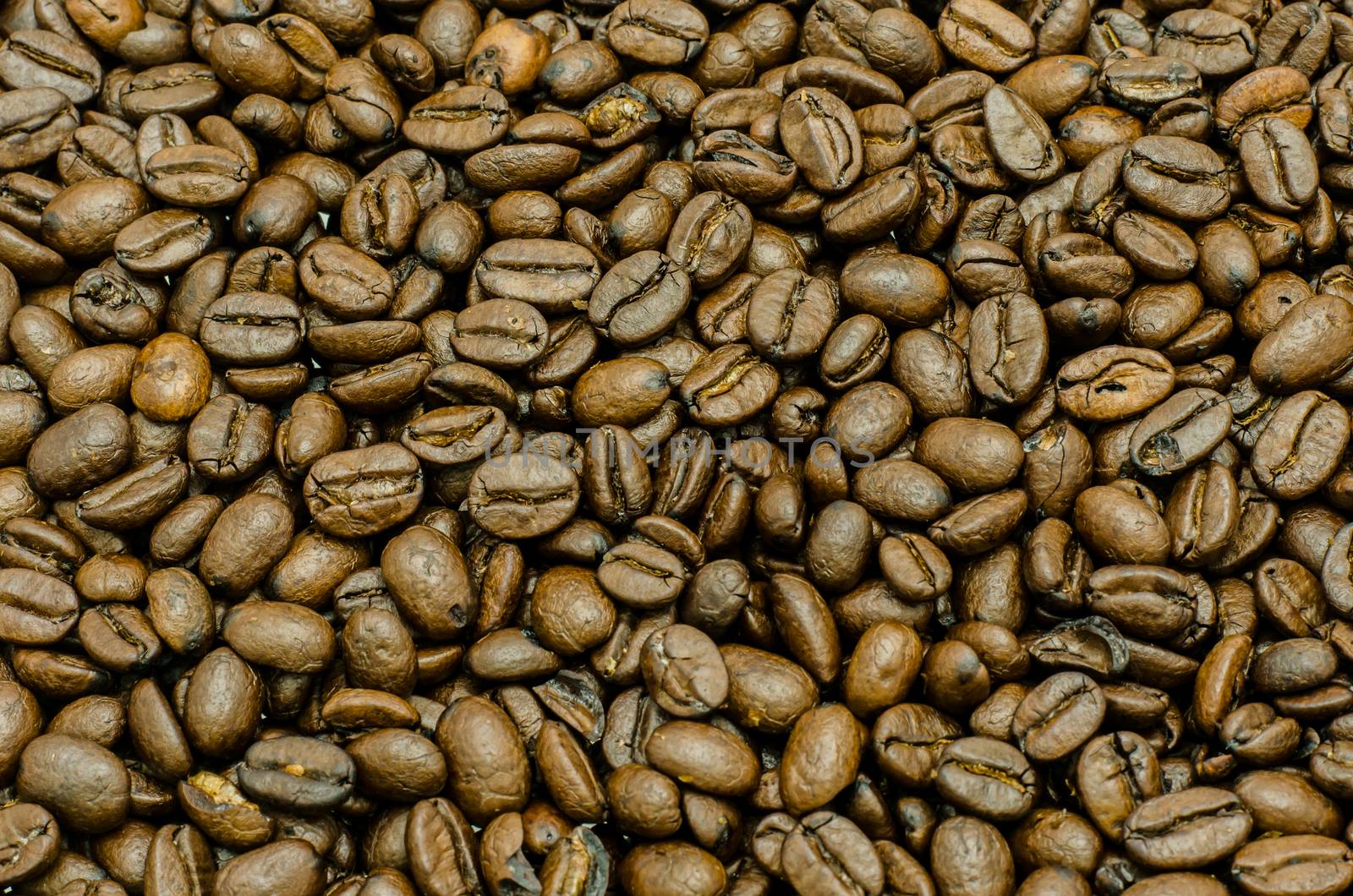 coffee bean by photobyphotoboy