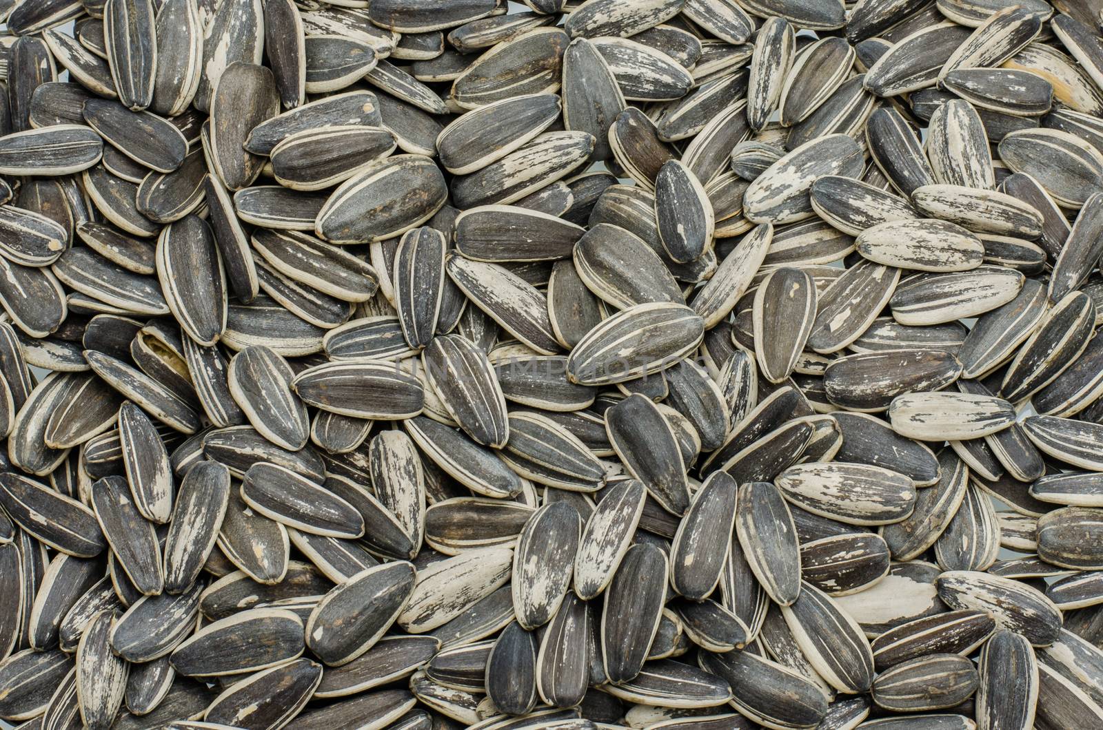 sunflower seeds by photobyphotoboy