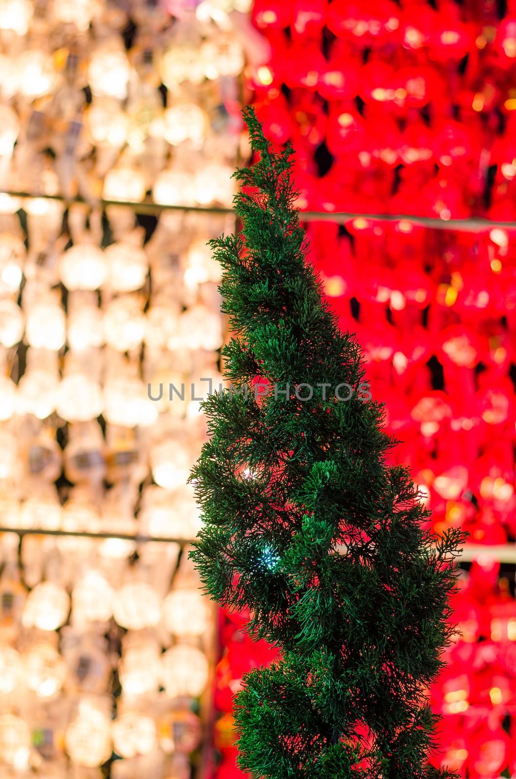 Illuminated Christmas tree at night  by photobyphotoboy