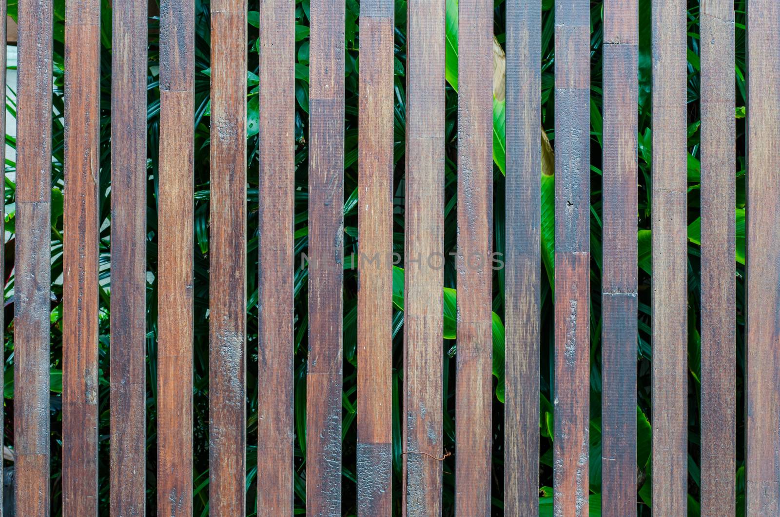 Wooden Palisade background. Close up of grey and green wooden fe by photobyphotoboy