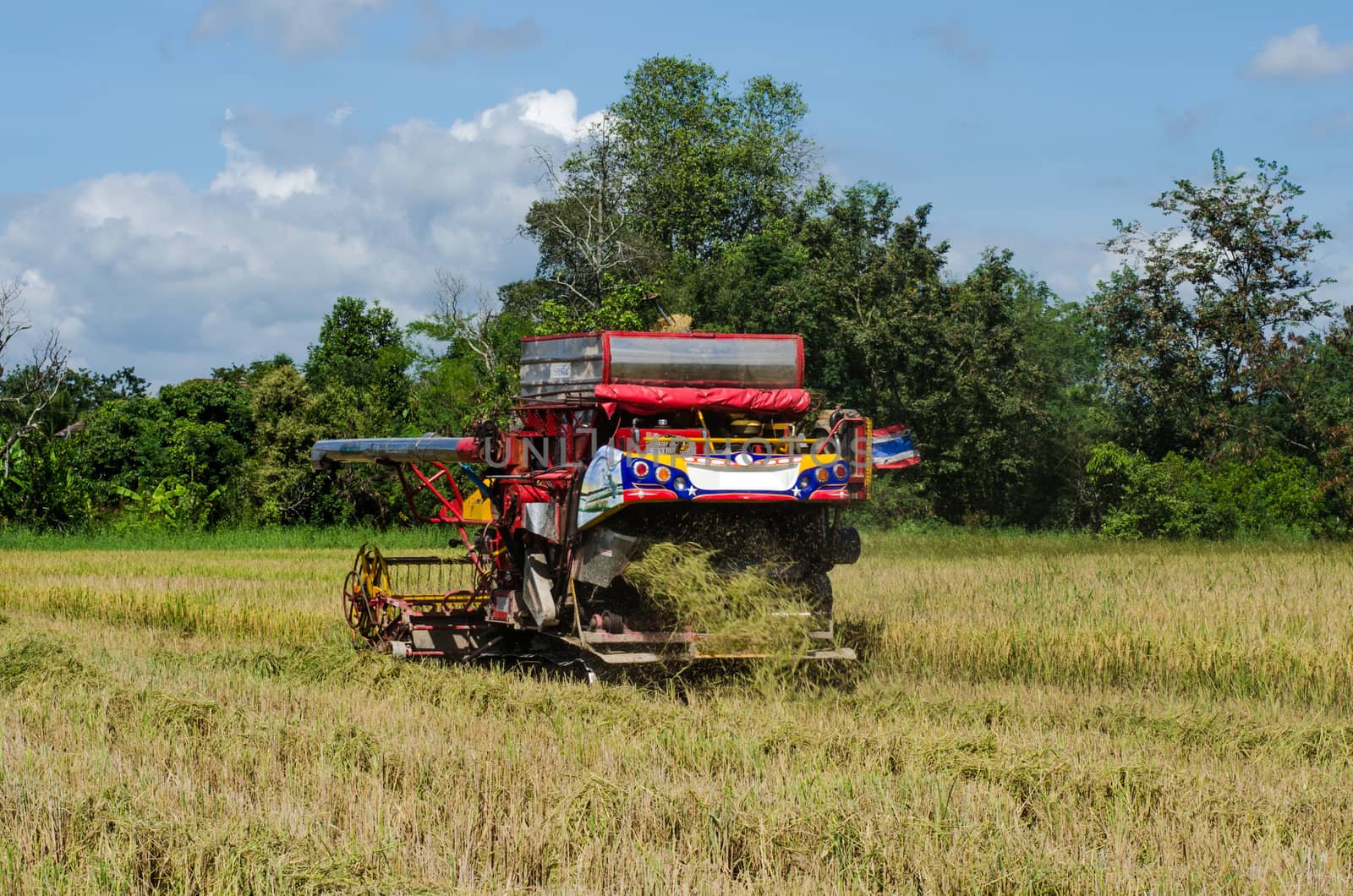 farm worker harvesting rice with tractor  by photobyphotoboy