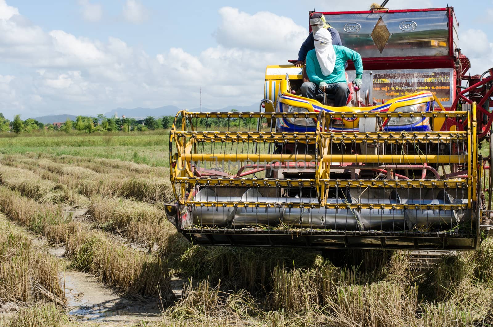 farm worker harvesting rice with tractor  by photobyphotoboy