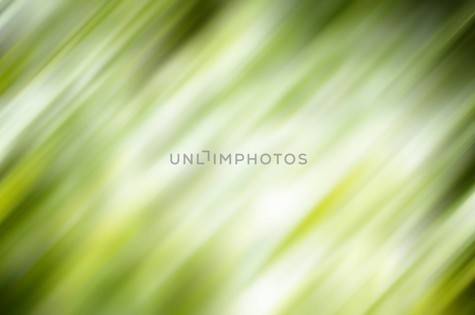 Natural Bokeh,blurred bokeh. by photobyphotoboy