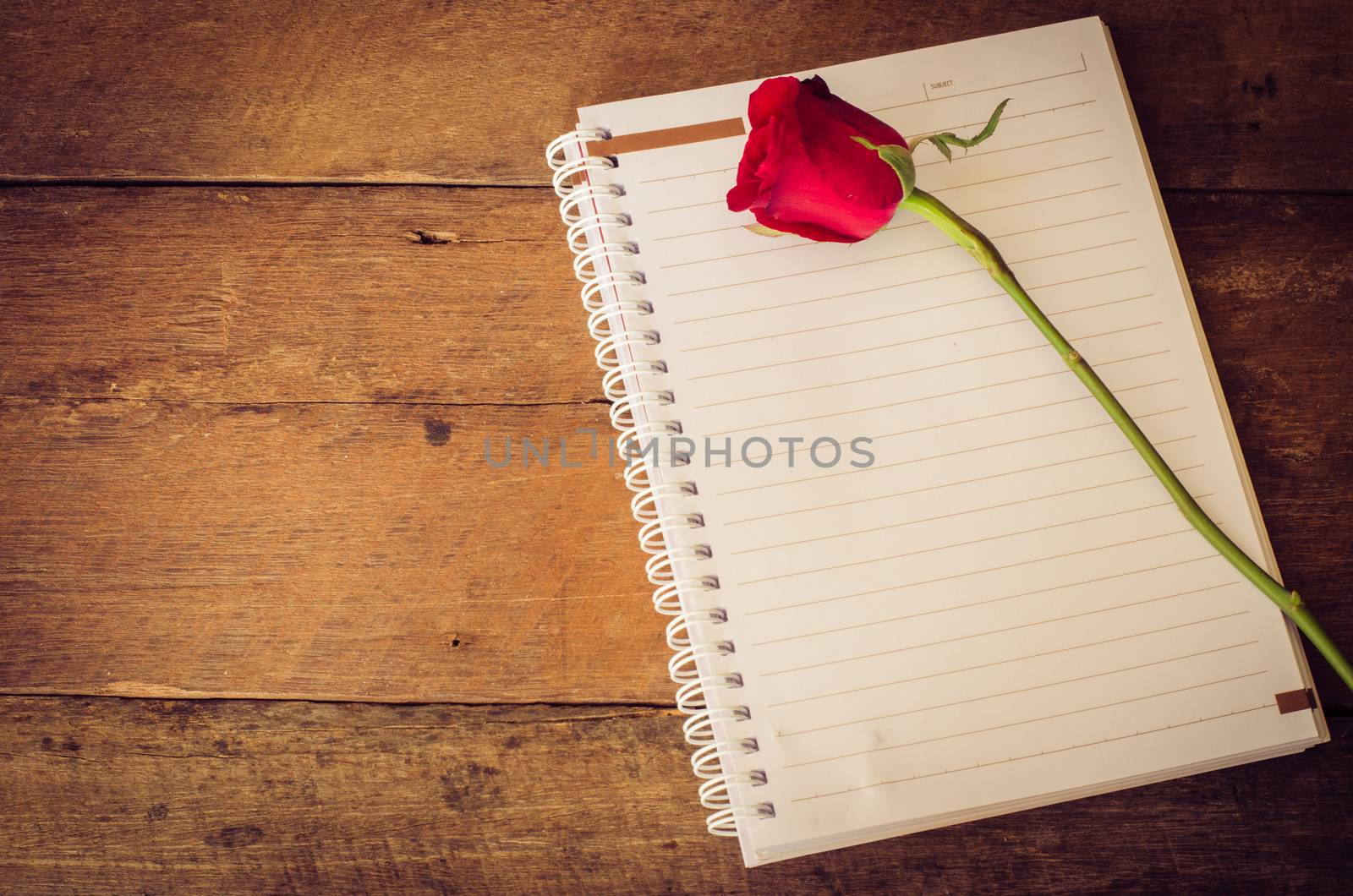 red rose on notebook by photobyphotoboy