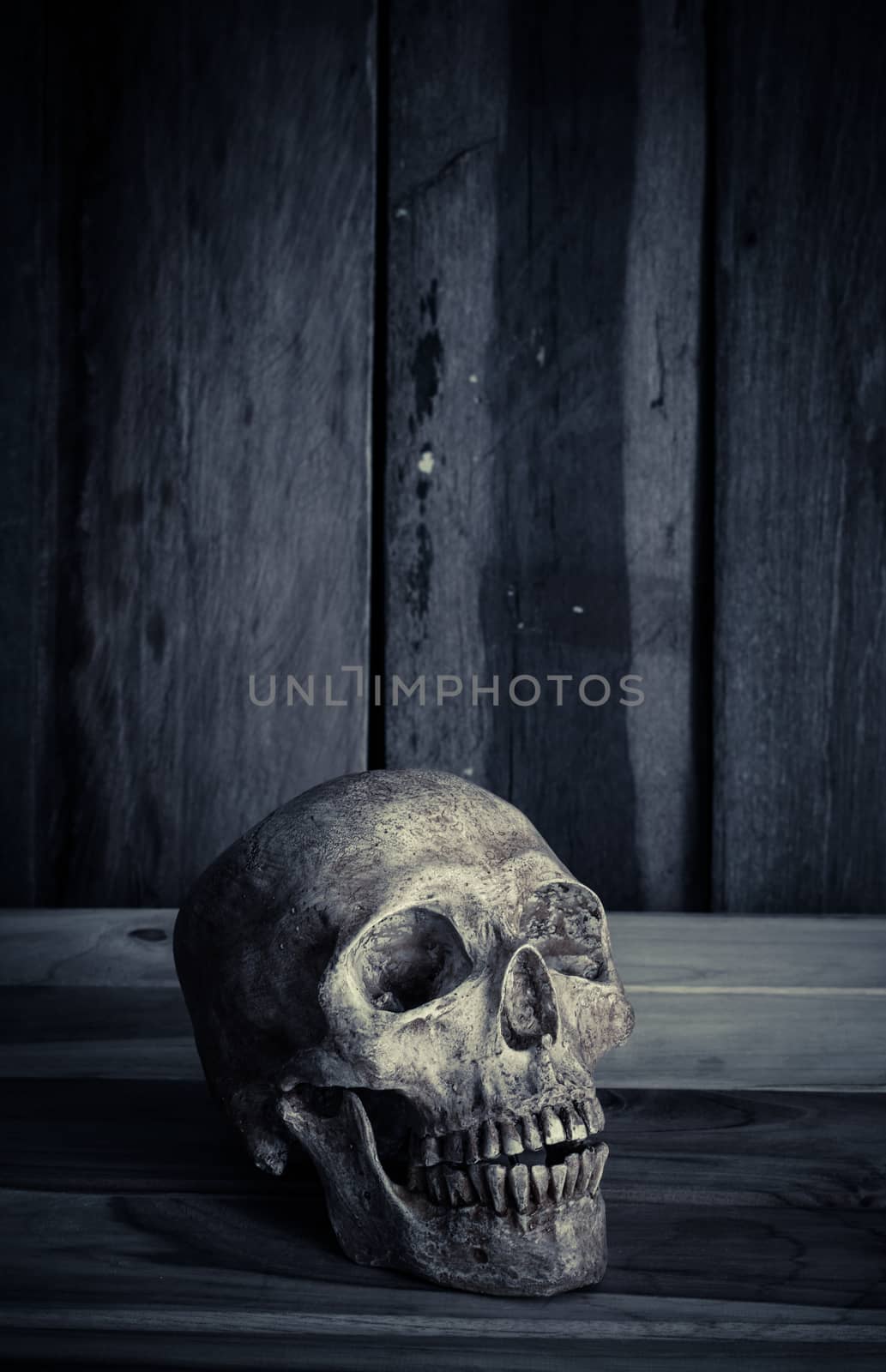 Still life the human skull on a wooden background by photobyphotoboy