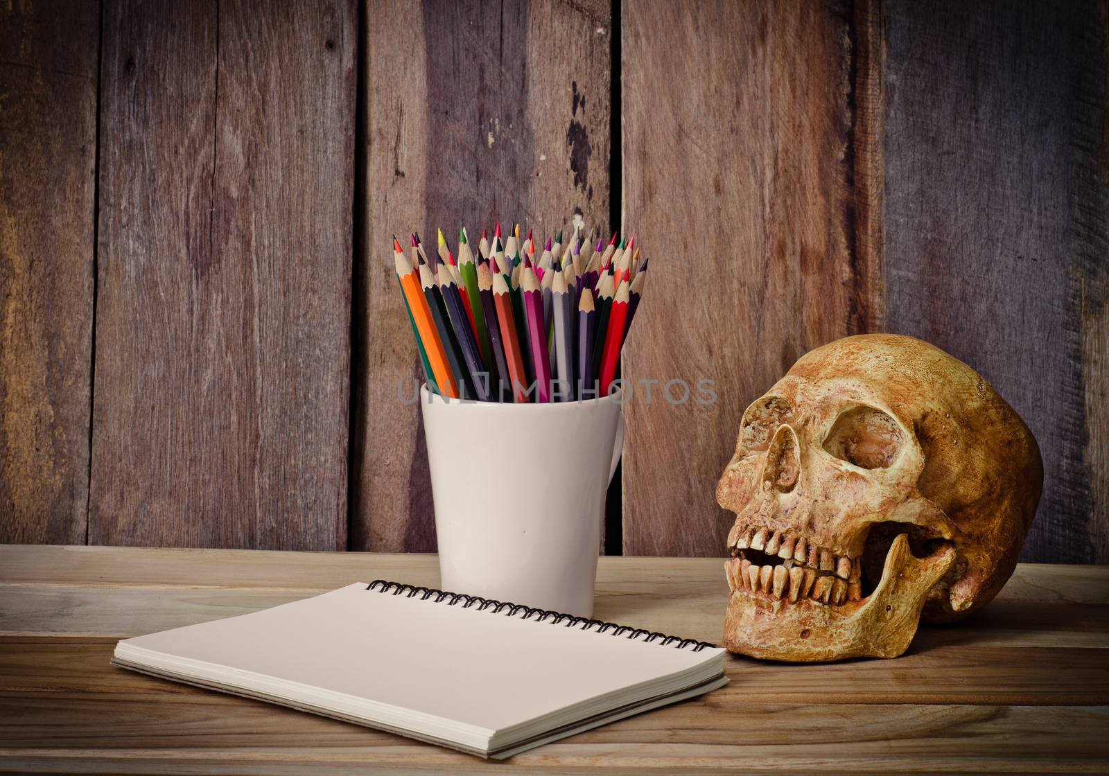 still life skull ,sketchbook and color pencil on wooden background