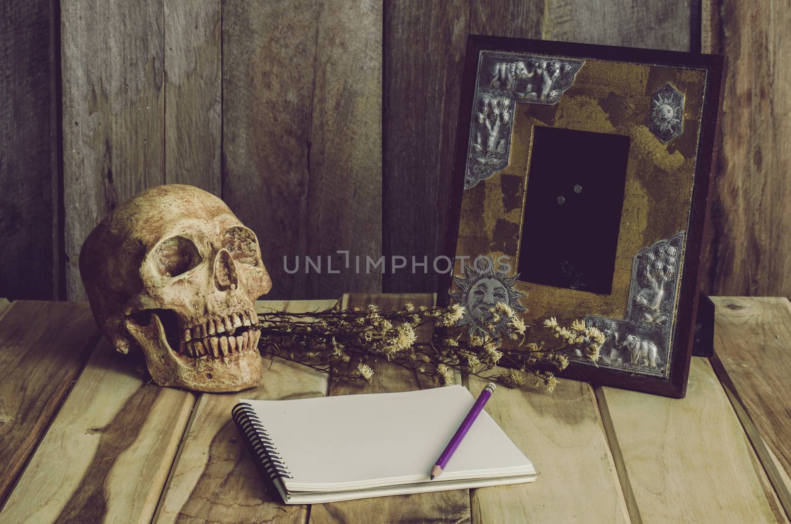 Still life skull picture frames, vases, dried rose notebook conc by photobyphotoboy
