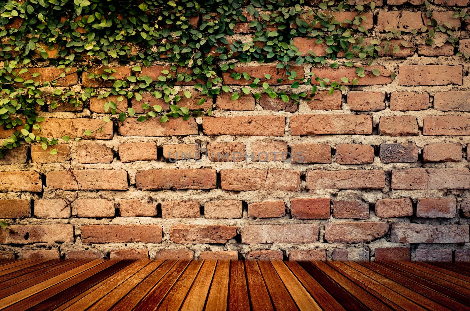 Wooden plank and leaves on brick wall