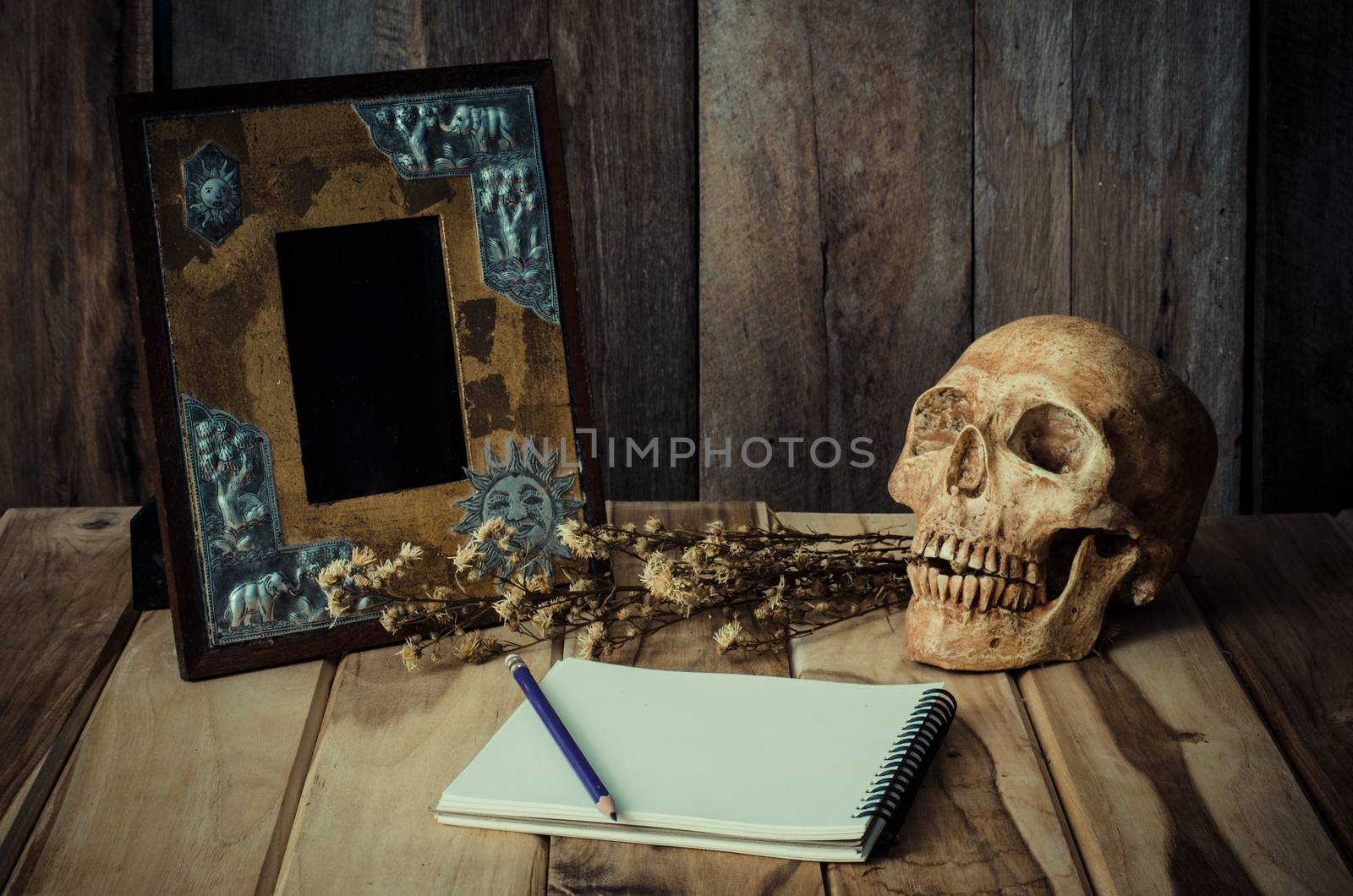 Still life skull picture frames, vases, dried rose notebook concept frequent memories