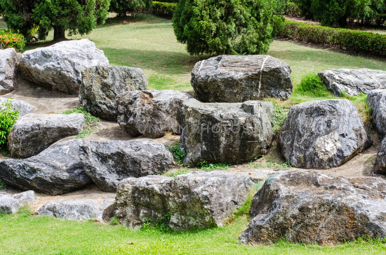 Rock in the Park by photobyphotoboy