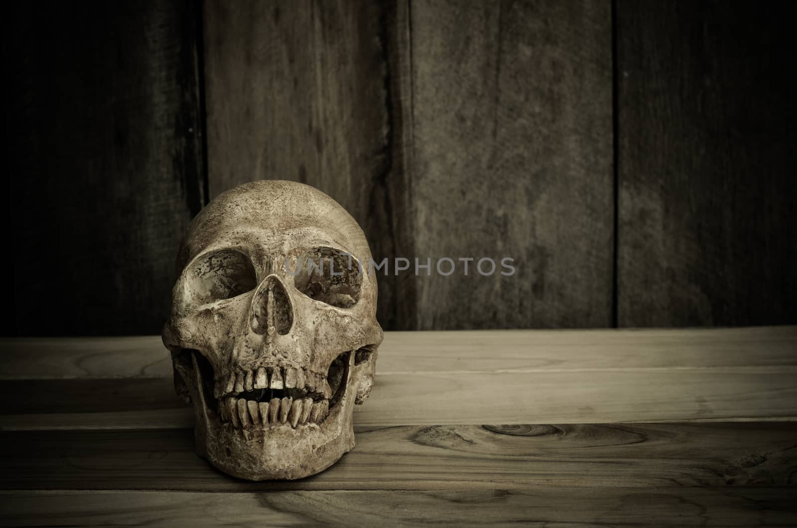 Still life the human skull on a wooden background by photobyphotoboy