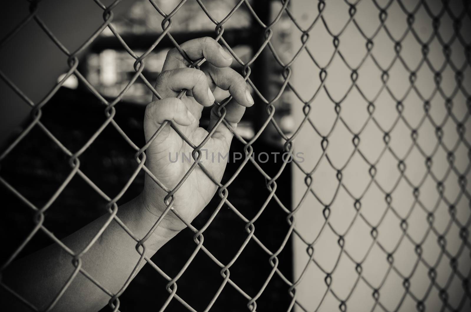 Hands and Steel Cage