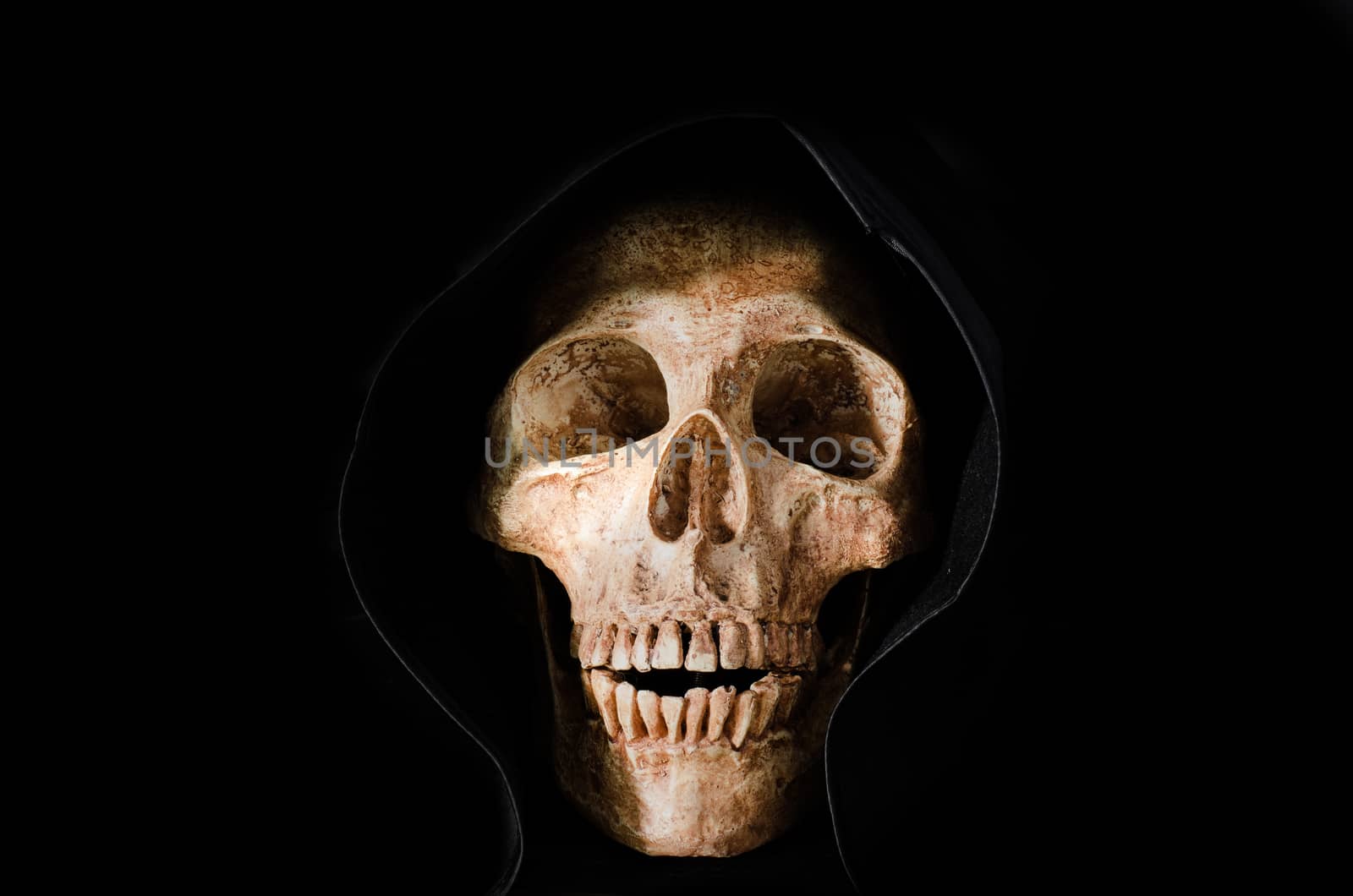 Still life the human skull on black background