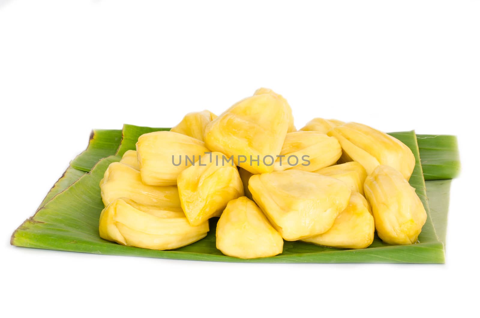 Thailand jackfruit, ripe fruit on a white background.