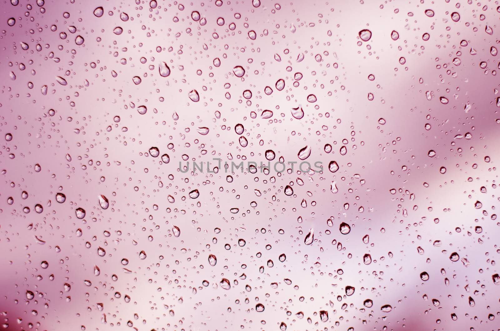 pink water drops background