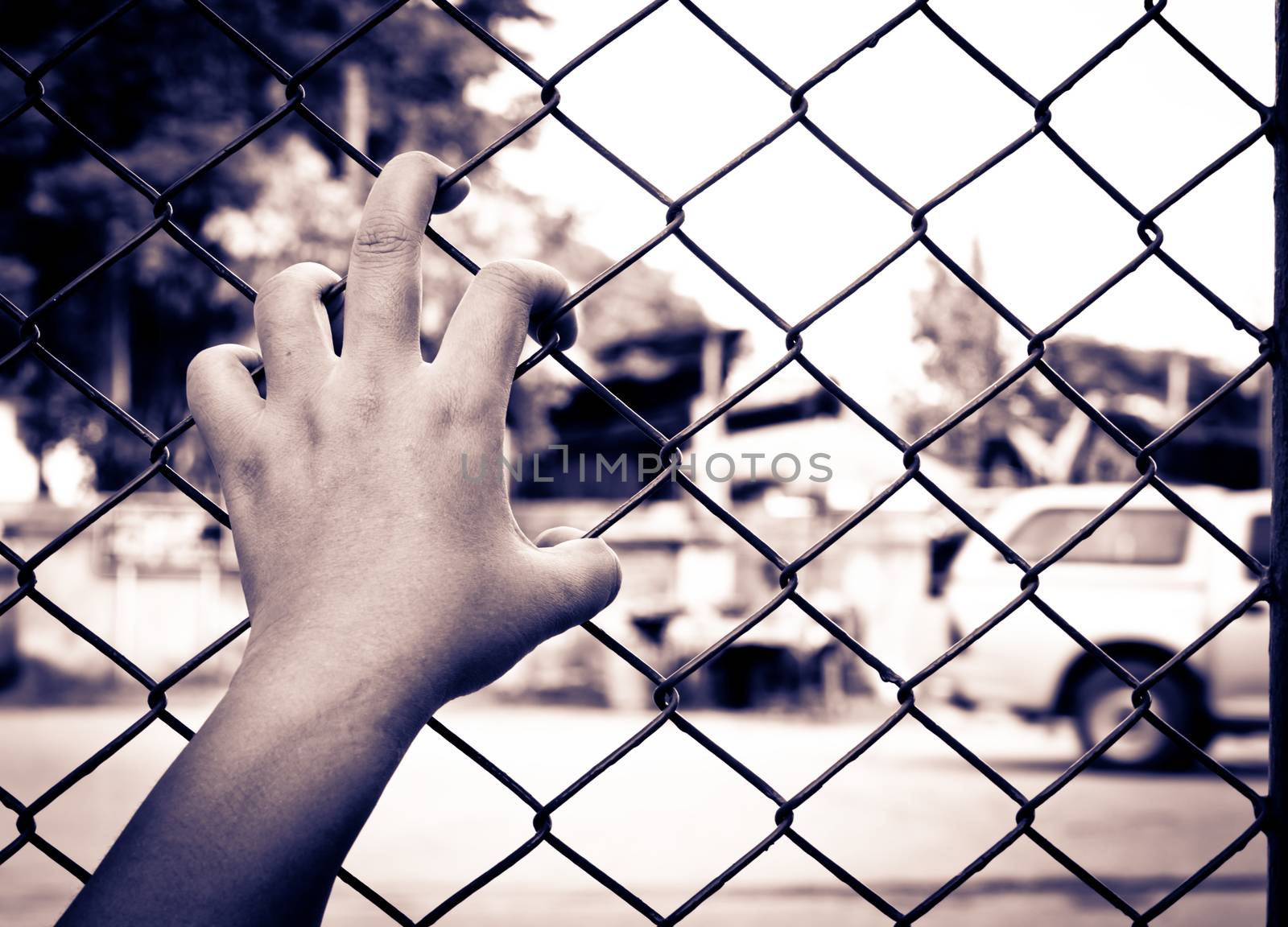 Hands and Steel Cage