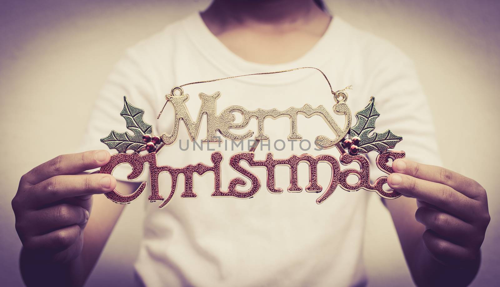 Merry Christmas In the hands of a girl
