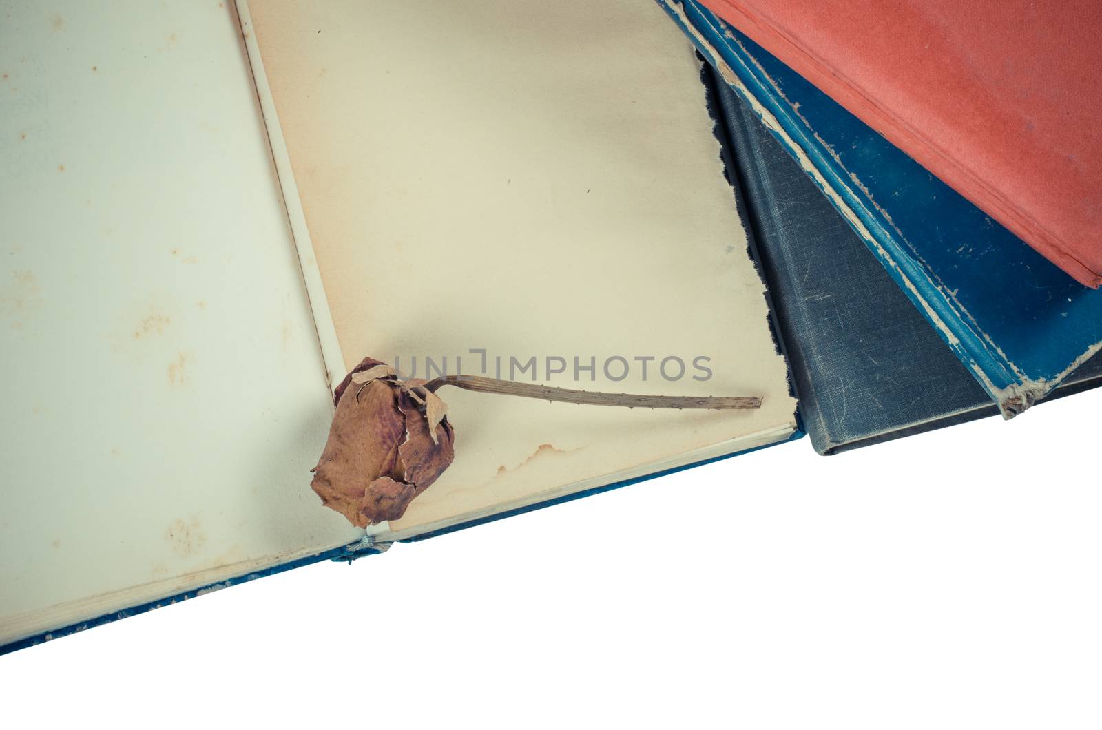 Old book and dry rose
