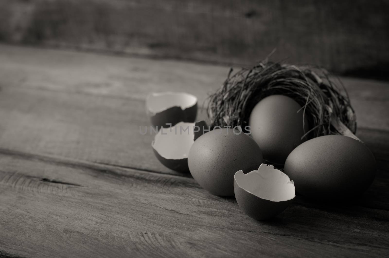 egg shell and eggs on the wooden - still life