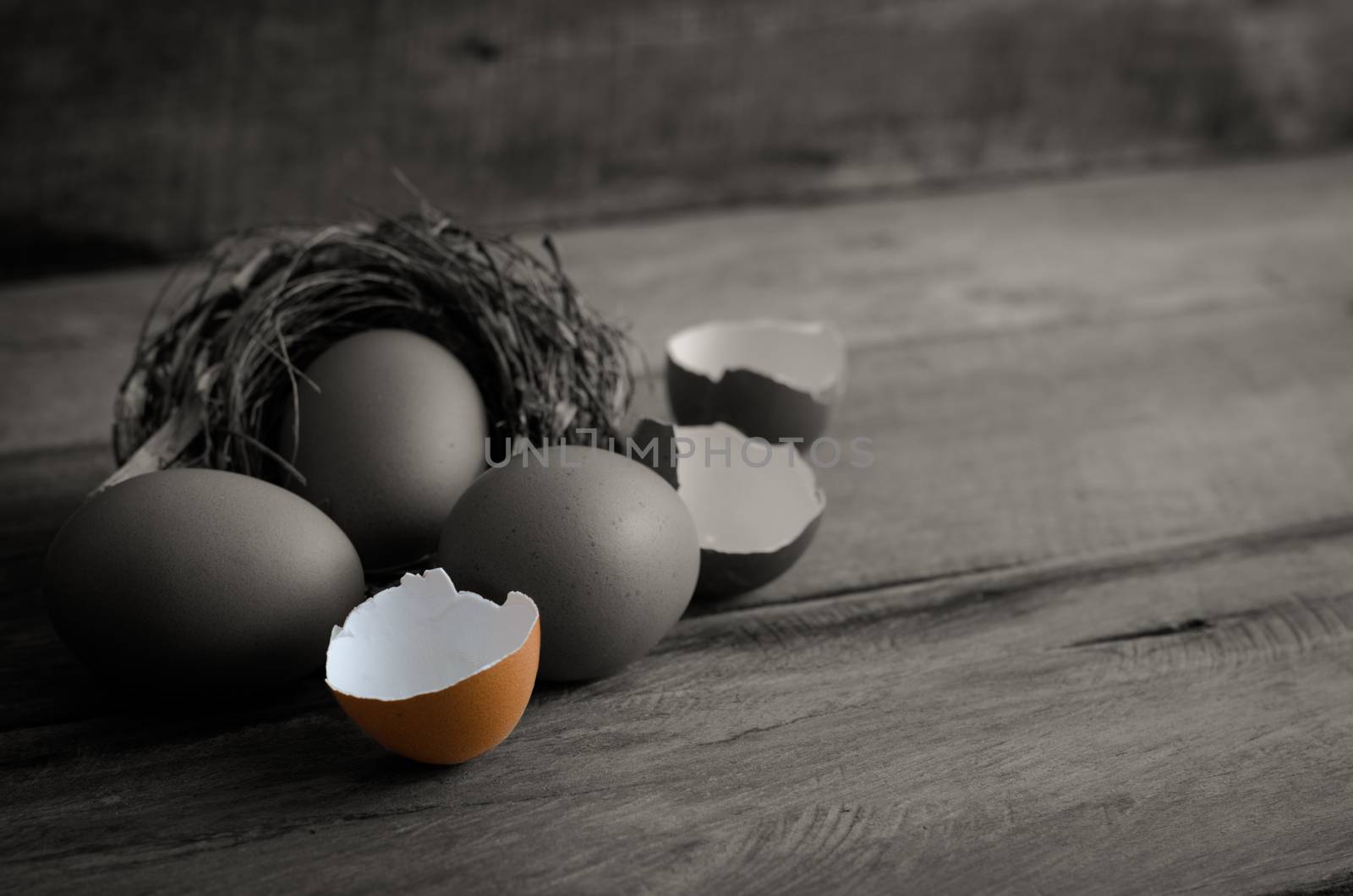 egg shell and eggs on the wooden - still life