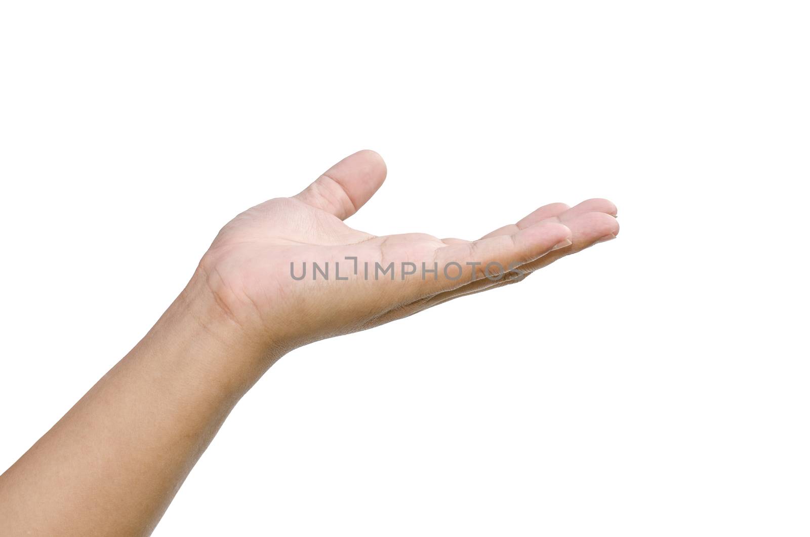 open hand on white background