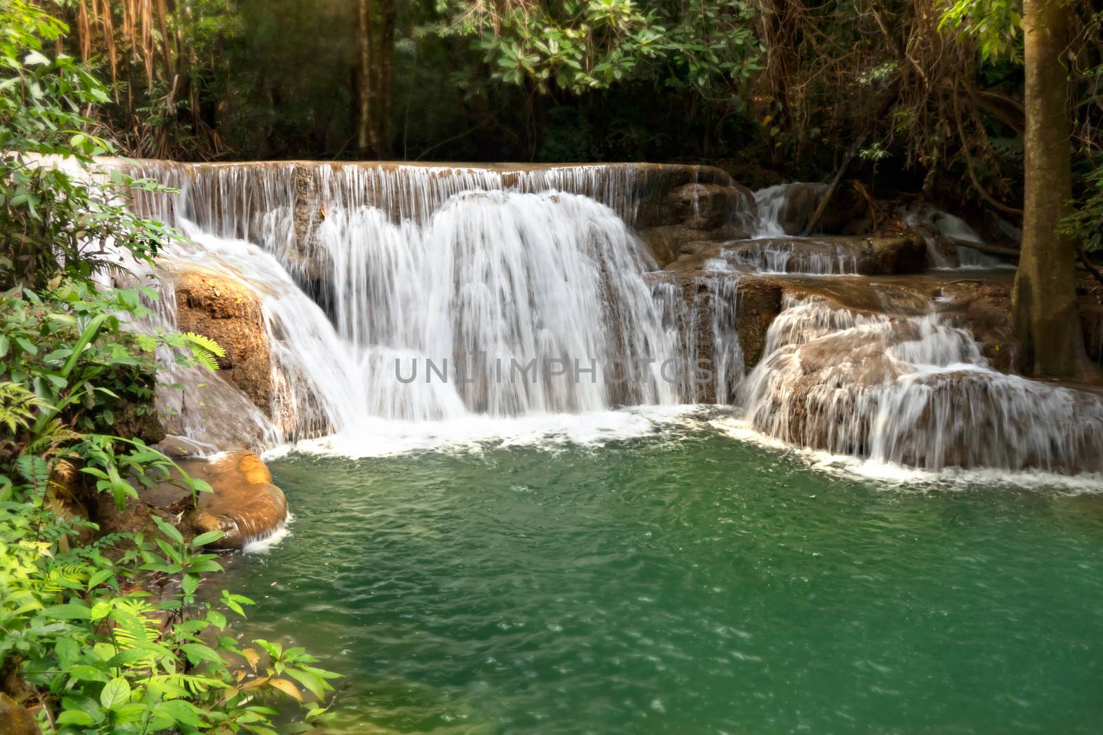 waterfall in rainforest  by rakratchada