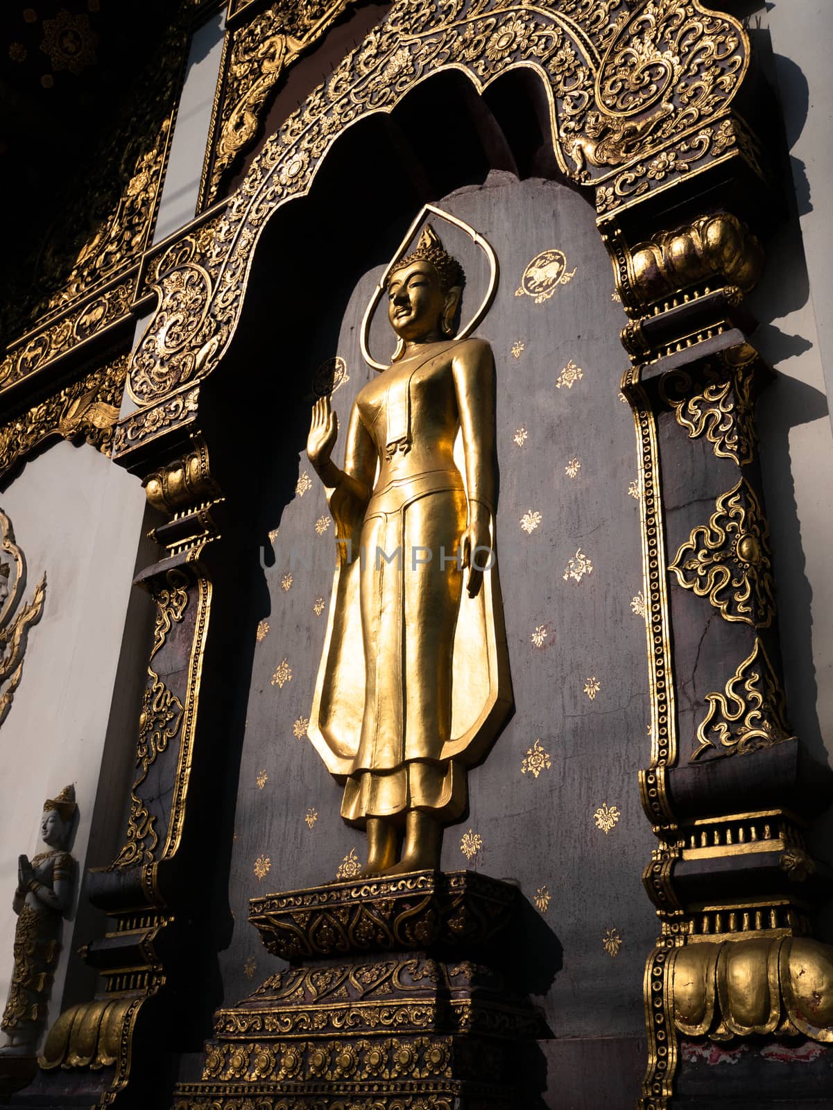 Standing golden buddha statue on black backgroud 
, Wat in Ching Mai Thailand