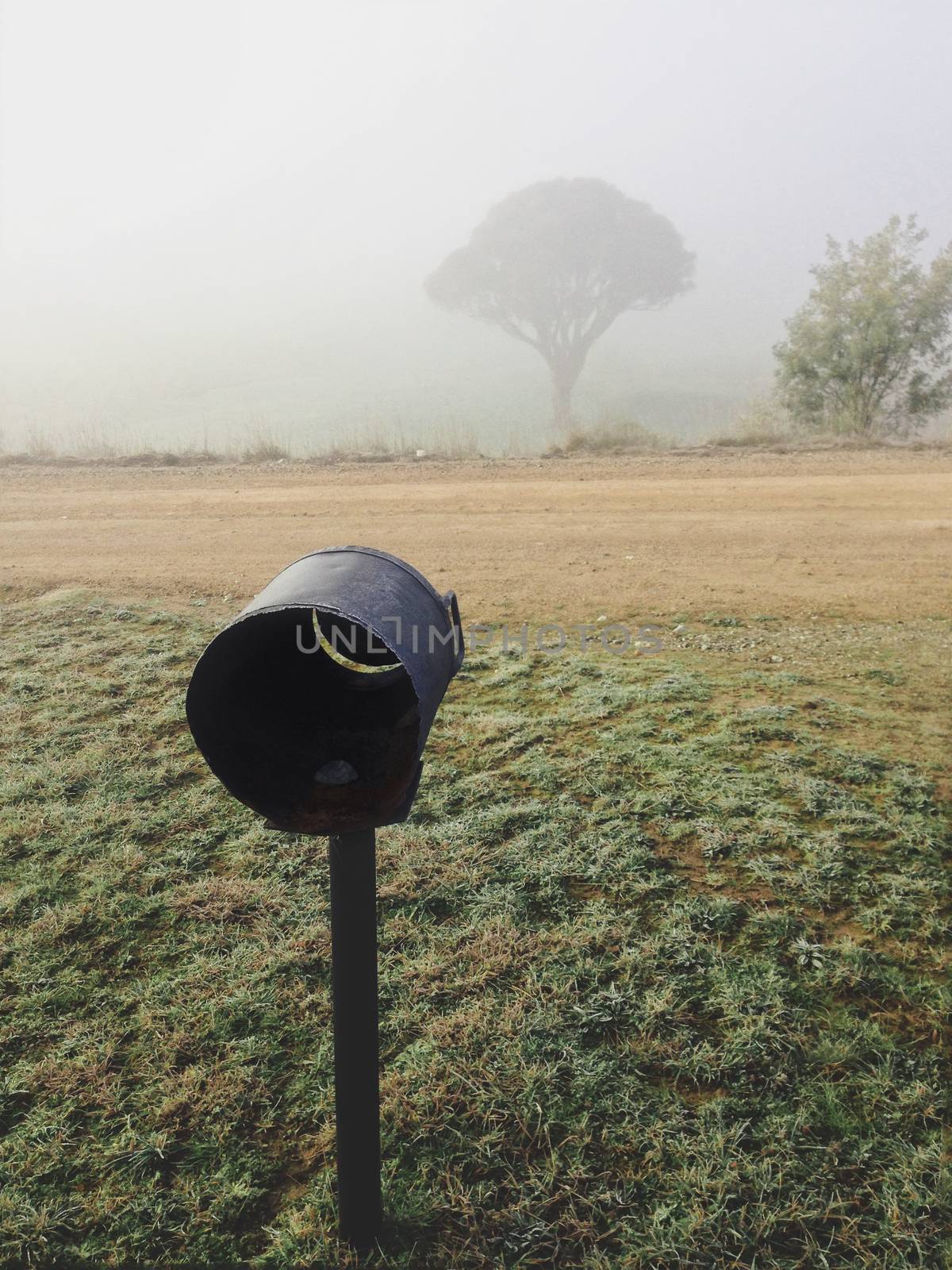 Foggy morning rural Australia by lovleah