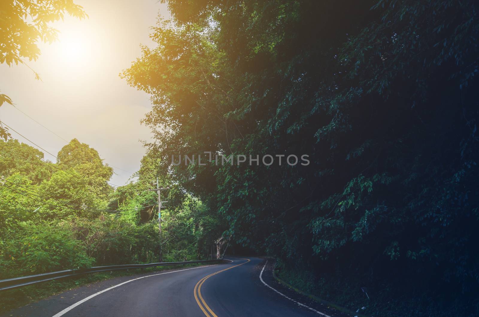 Travel on the road with trees on the street and the sun.
