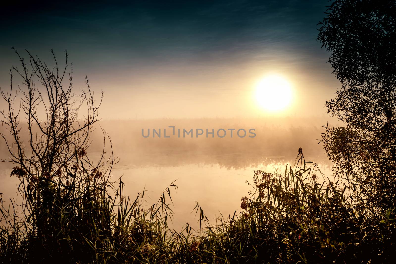 Dramatic mystical twilight landscape with rising sun, tree, reed and fog over water