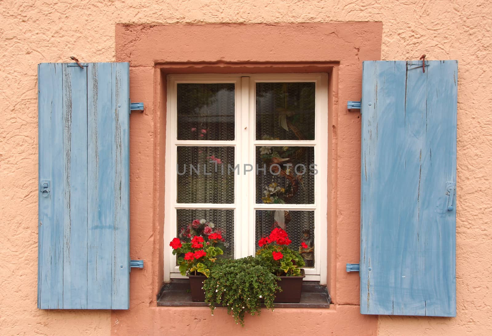 Flowered window with blue blinds on a pink wall by auralaura