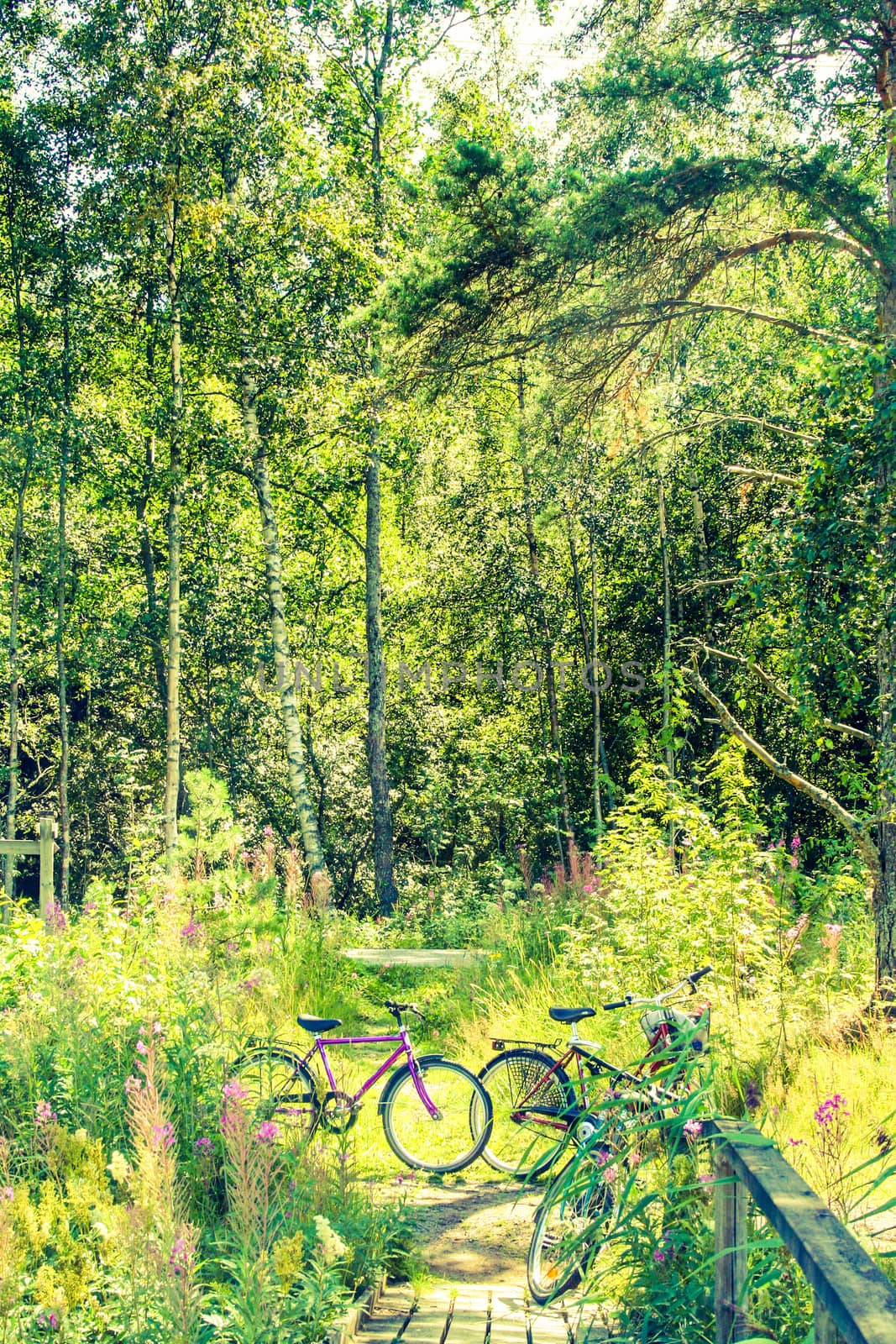 bikes in a green forest of Finland