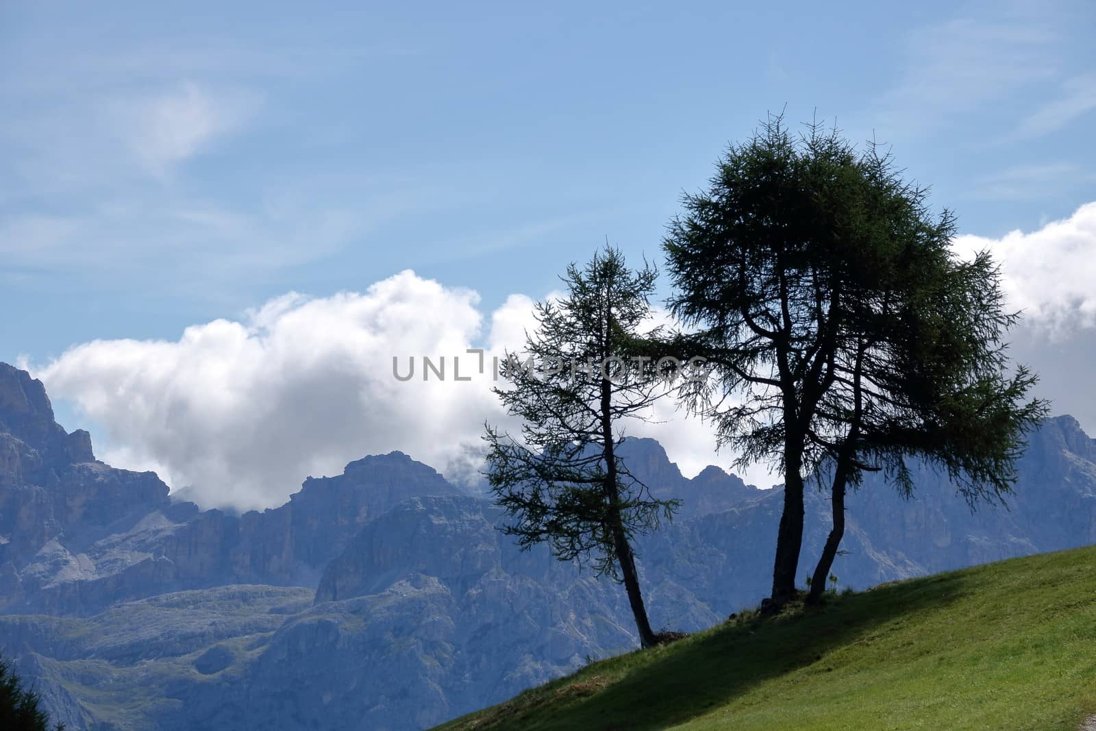 Landscape of Dolomites mountain at Col Alt   in Alto Adige, Sud Tyrol, Italy