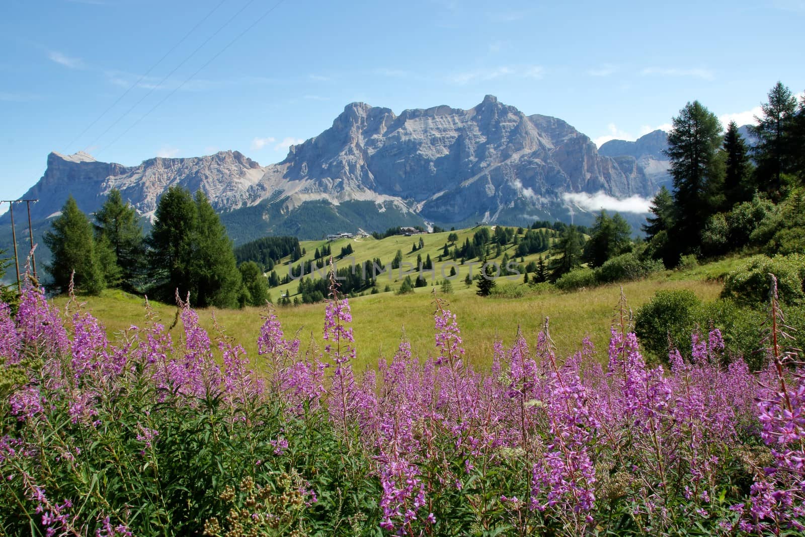Landscape of Dolomites mountain at Col Alt   in Alto Adige, Sud Tyrol, Italy