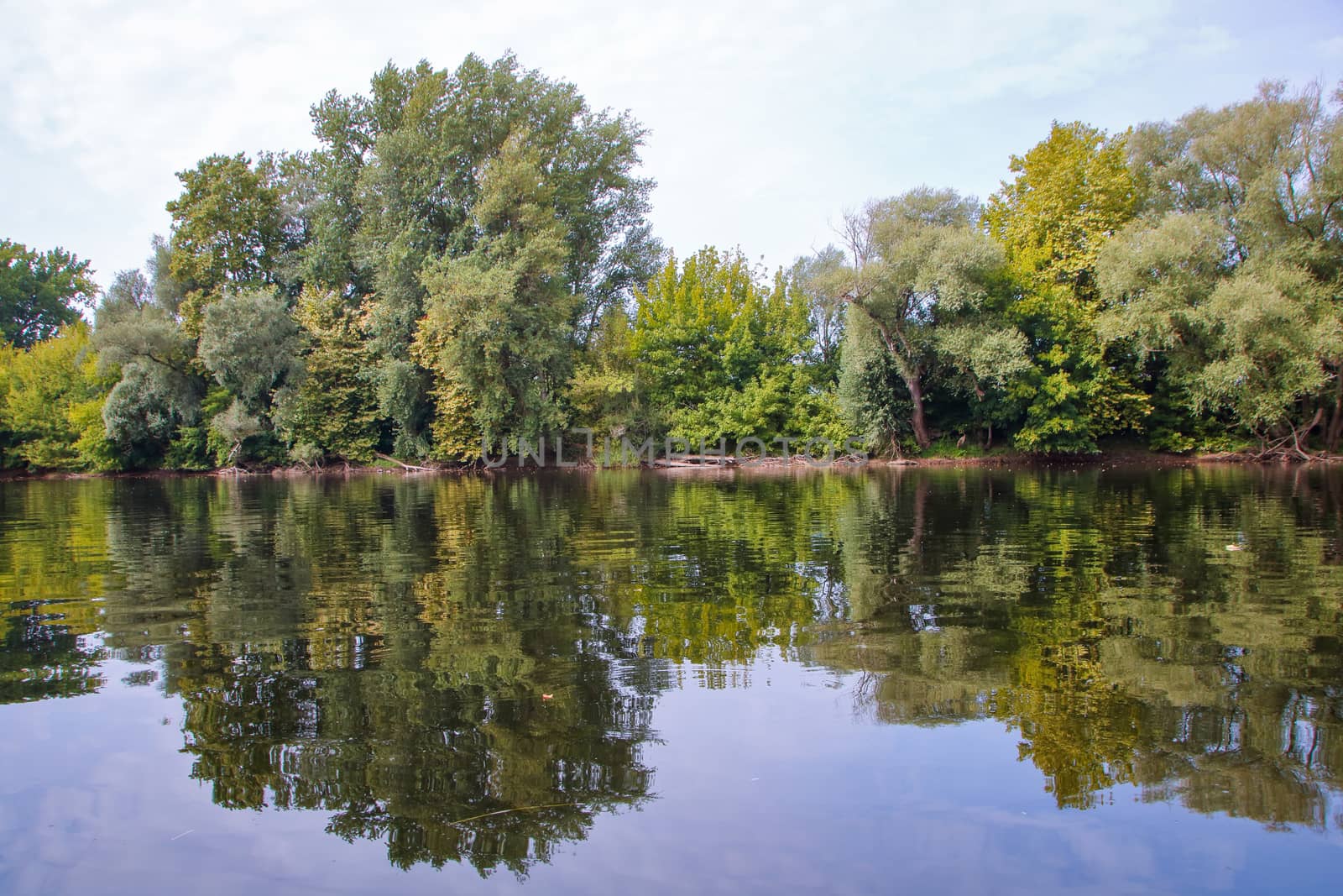 trees reflecting in water of river dordogne in aquitaine, Perigord noir, France