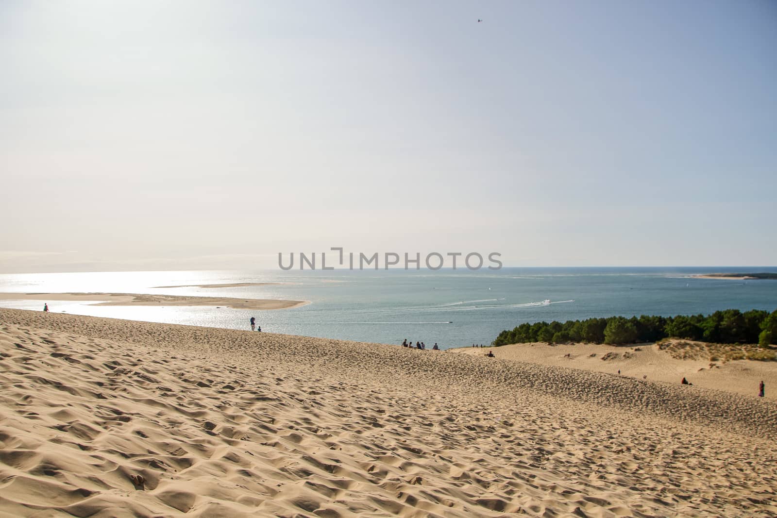 view of the sandy  dune of pilat and arcachon basin in france, aquitaine.