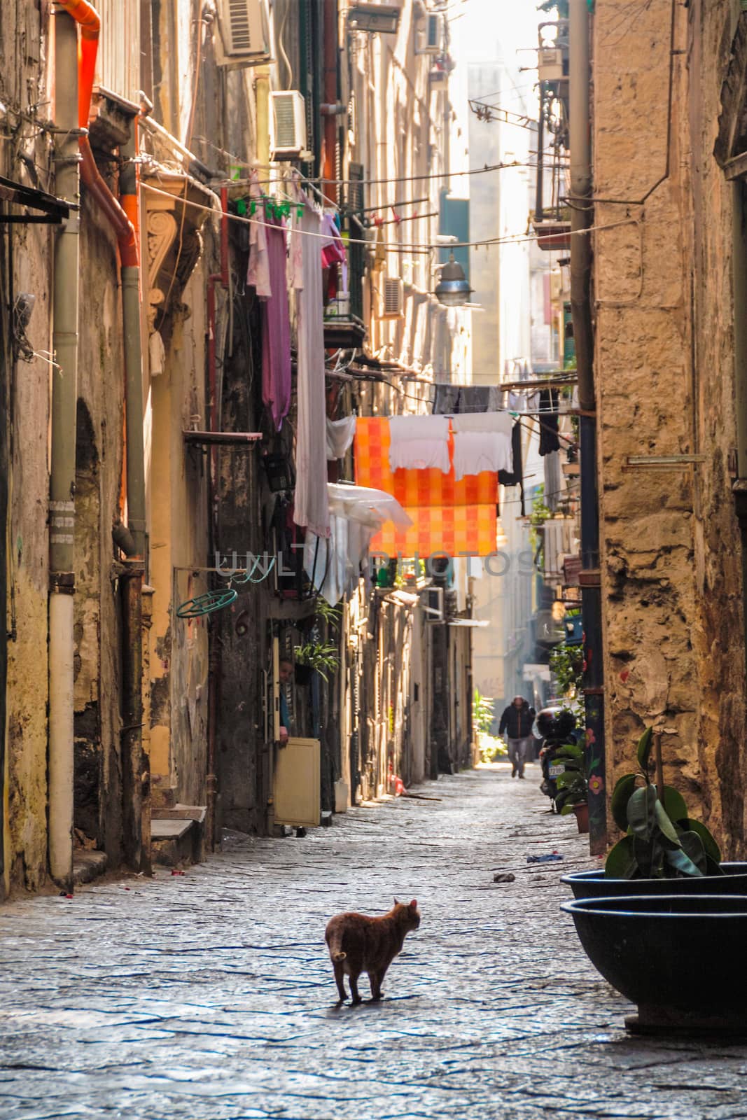 AT NAPLES, ITALY - ON 11/26/2016  narrow alley in the historical center of Naples, Italy