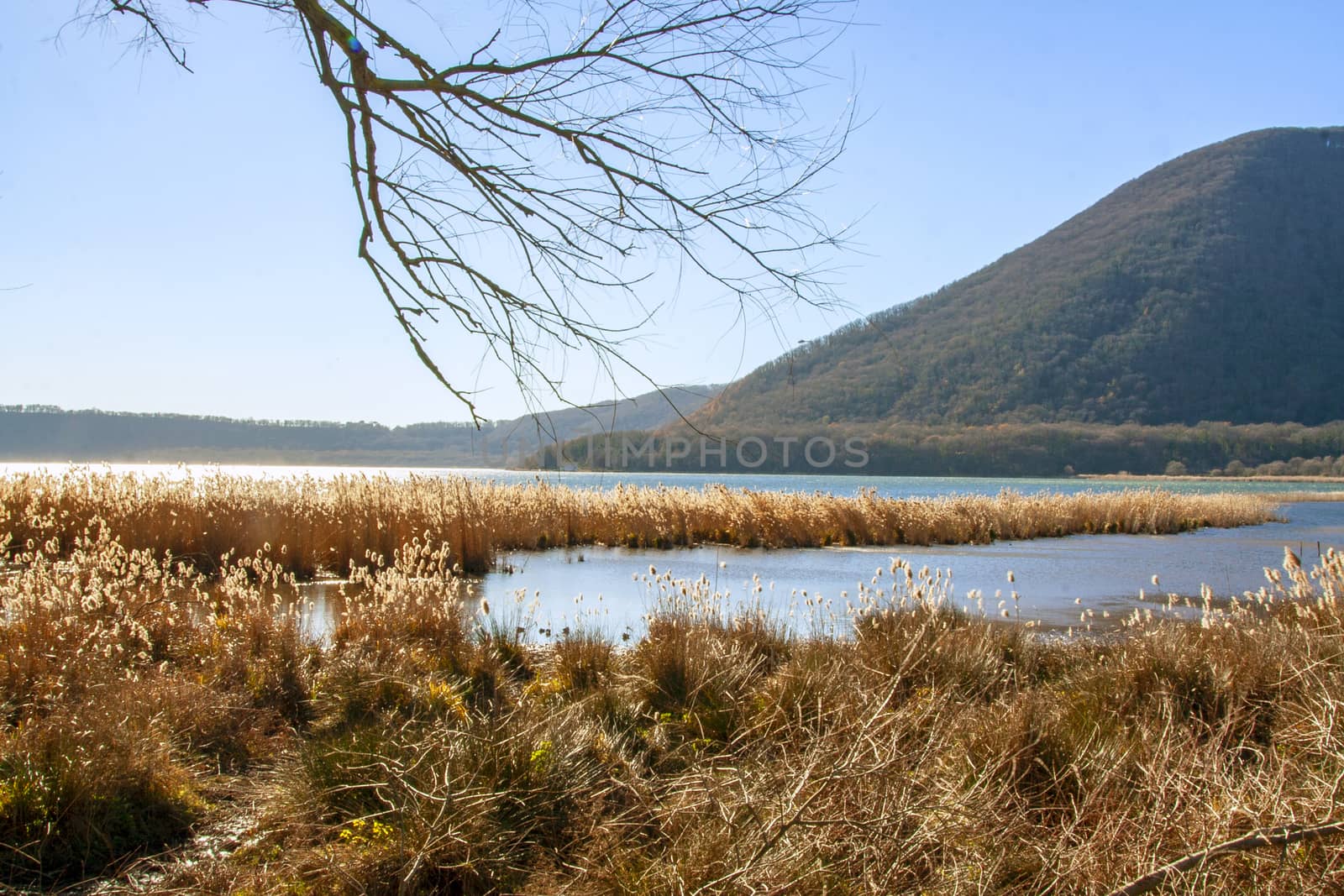 natural reserve of lake Vico, Viterbo, Lazio Italy