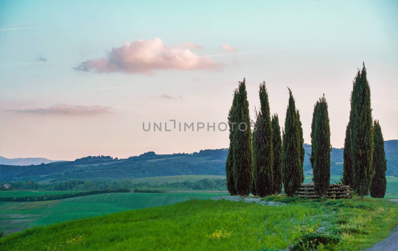Landscape of tuscan countryside, Val d'Orcia, Siena
