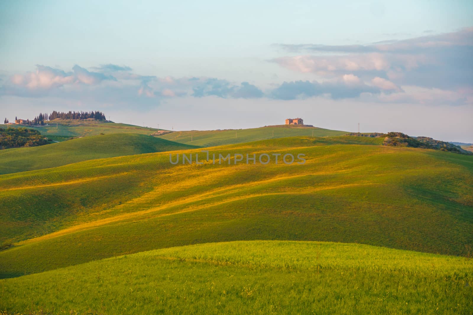 Landscape of tuscan countryside, Val d'Orcia, Siena