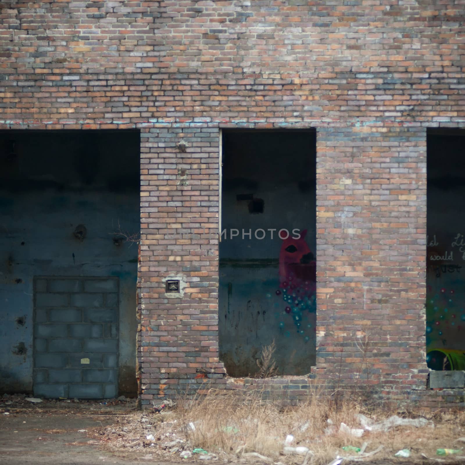 ruins of a very heavily polluted industrial factory, industrial series