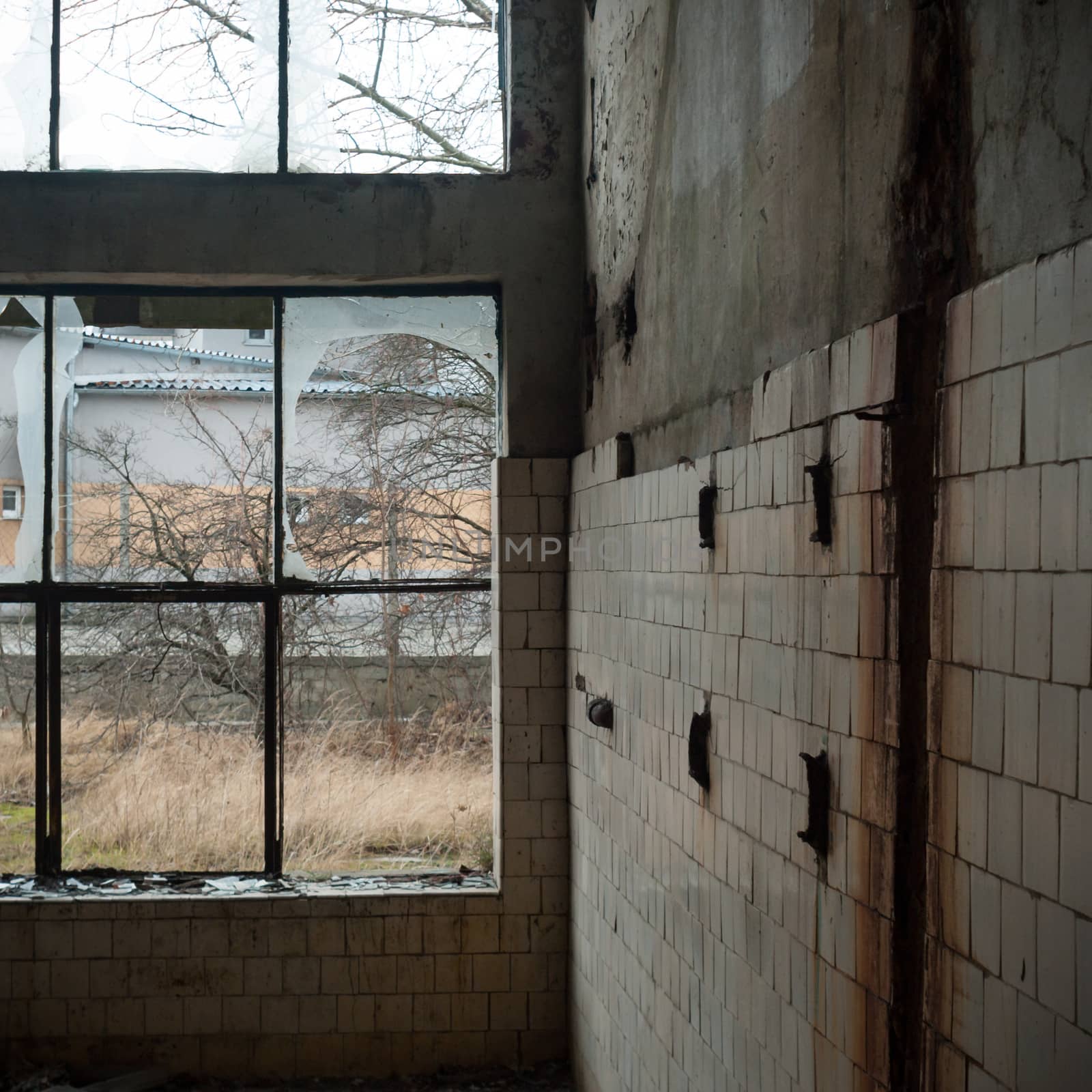 ruins of a very heavily polluted industrial factory, industrial series